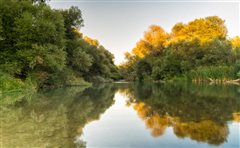 Υπερχείλιση Αλφειού