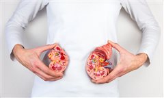 Νεφρολιθίαση: Γιατί το καλοκαίρι είναι η χειρότερη εποχή;