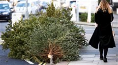 Ανακύκλωση Χριστουγεννιάτικων δέντρων στη Θεσσαλονίκη