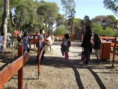 Πρόσληψη 33 ατόμων σε παιδικές κατασκηνώσεις Χαλκιδικής