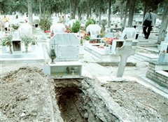 Εισαγγελέας έπειτα από καταγγελίες για ποντίκια στα κοιμητήρια Καλαμαριάς!