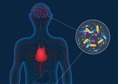 «Εμβόλιο» από καλά βακτήρια εναντίον στρες