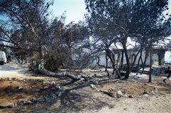 ΕΚΤΑΚΤΟ: 84 οι νεκροί βρέθηκε άλλος ένας νεκρός σε οικόπεδο