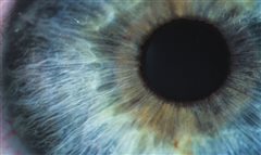 Τα μάτια «προδίδουν» το Πάρκινσον σε αρχικό στάδιο